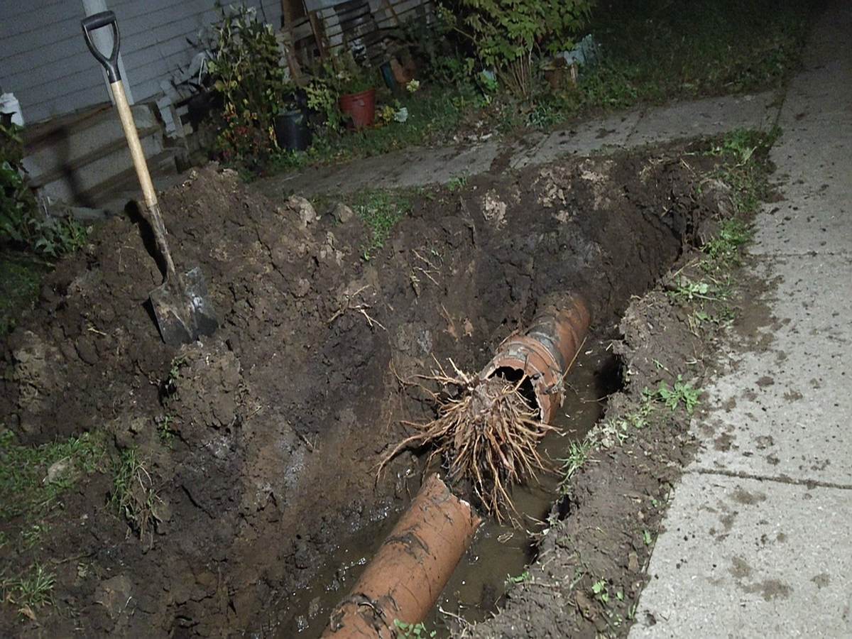 Before: Roots in a 1928 Lateral: Sewer Repair Near Avenida Del Mar, San Clemente